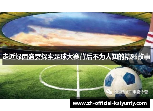 走近绿茵盛宴探索足球大赛背后不为人知的精彩故事 走近绿茵盛宴探索足球大赛背后不为人知的精彩故事