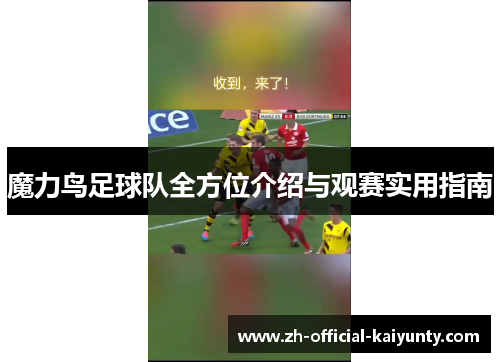 魔力鸟足球队全方位介绍与观赛实用指南 魔力鸟足球队全方位介绍与观赛实用指南