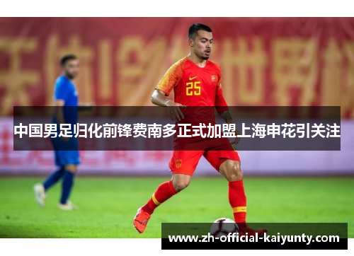 中国男足归化前锋费南多正式加盟上海申花引关注